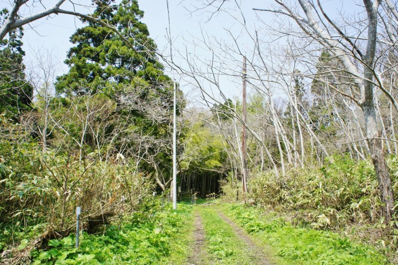 孟宋竹林の手前