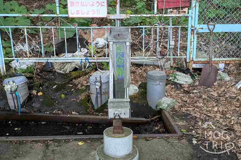 馬追の名水の「募金箱」
