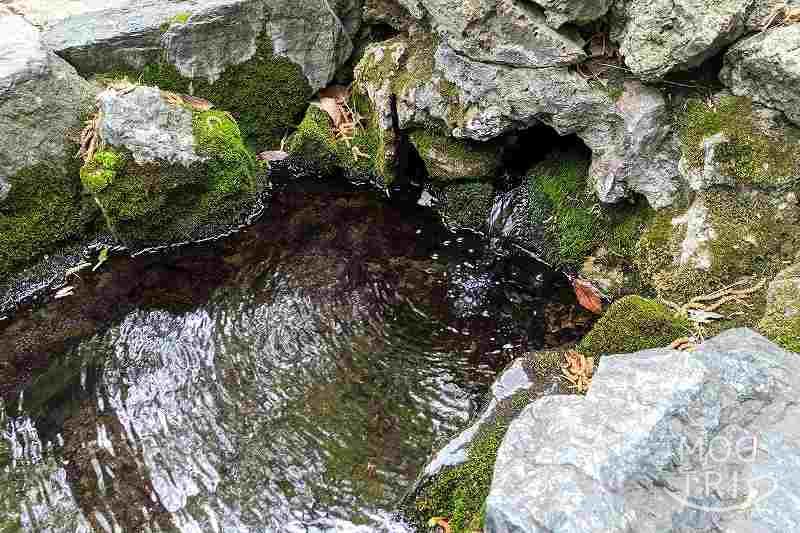 白石神社「湧き水」の取水口