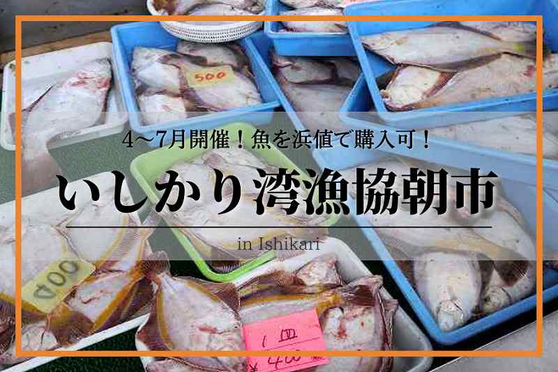 いしかり湾漁協朝市