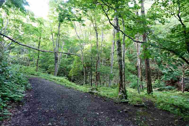 砥石山登山道入口