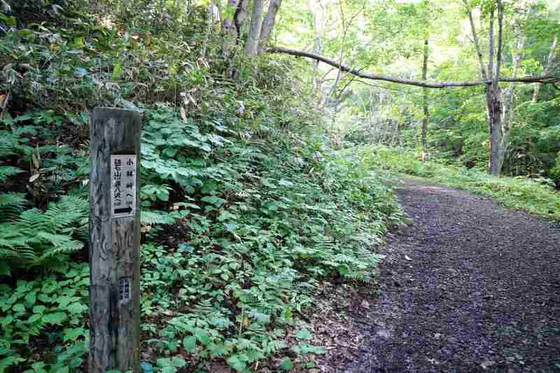 砥石山登山道・中ノ沢入口