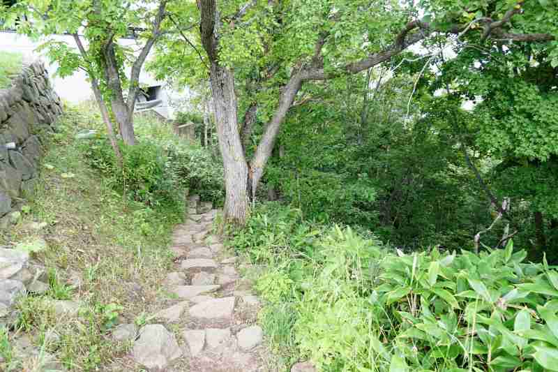 藻岩山　登山道