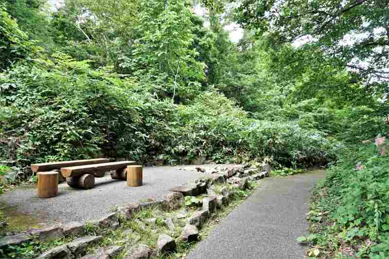 藻岩山 自然学習道