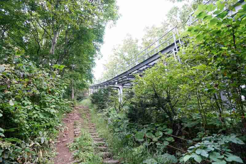 藻岩山 登山道