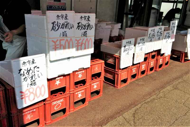 新岡商店の魚の箱売り