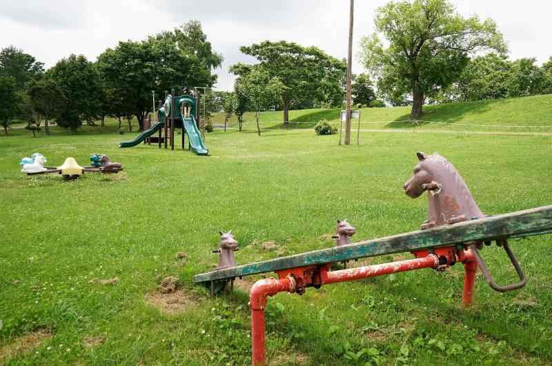 皆楽公園の遊具