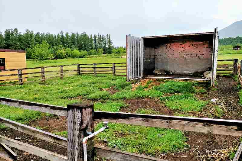 星に手のとどく丘キャンプ場のひつじ小屋