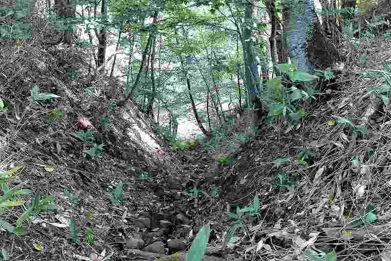 キャンプ場「晴好雨喜」の河原へ続く道