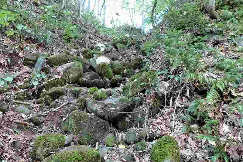 晴好雨喜の獣道