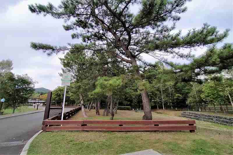 白石公園はこだてオートキャンプ場の花火スペース