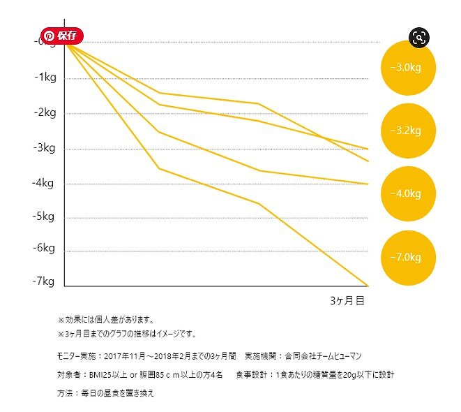 ヘルスミールダイエットグラフ