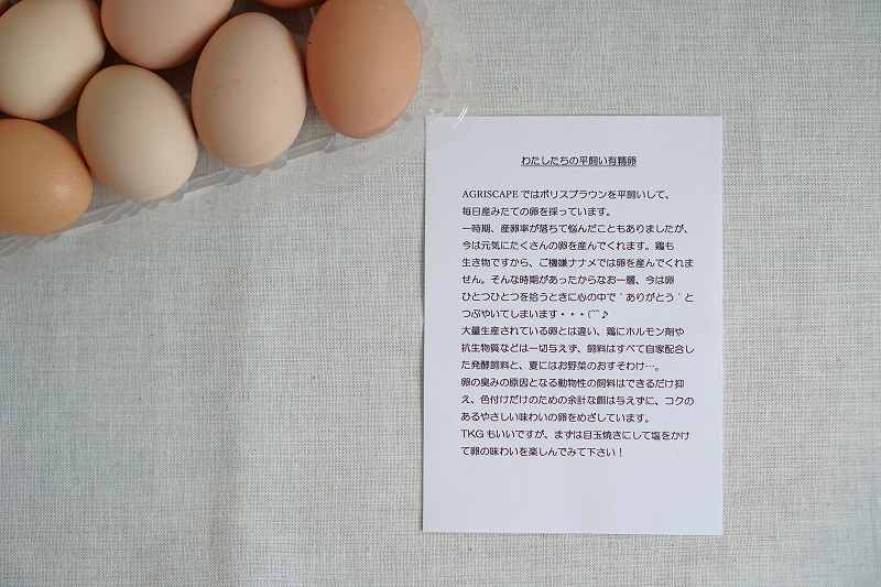 アグリスケープの「平飼い有精卵」と説明書がテーブルに置かれている