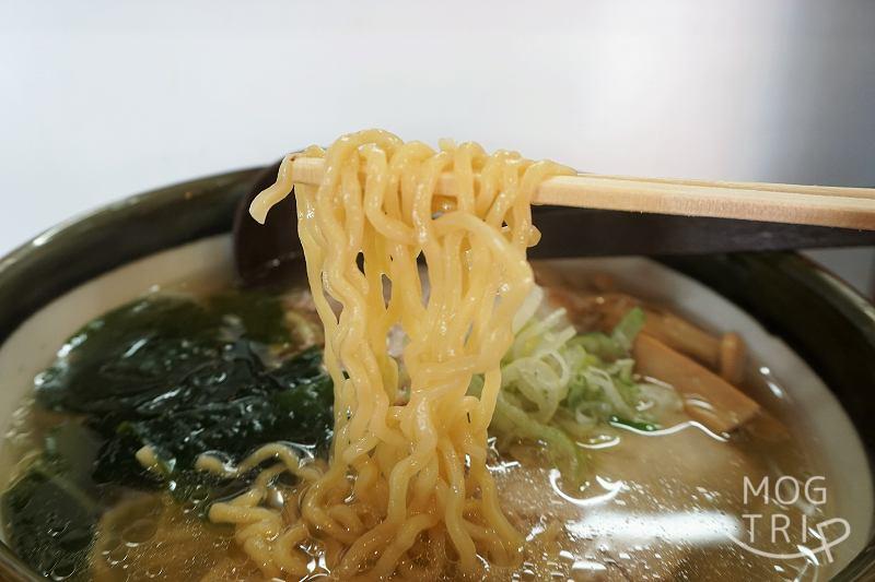 「函館らーめん かもめ」函館ラーメンしお　麺