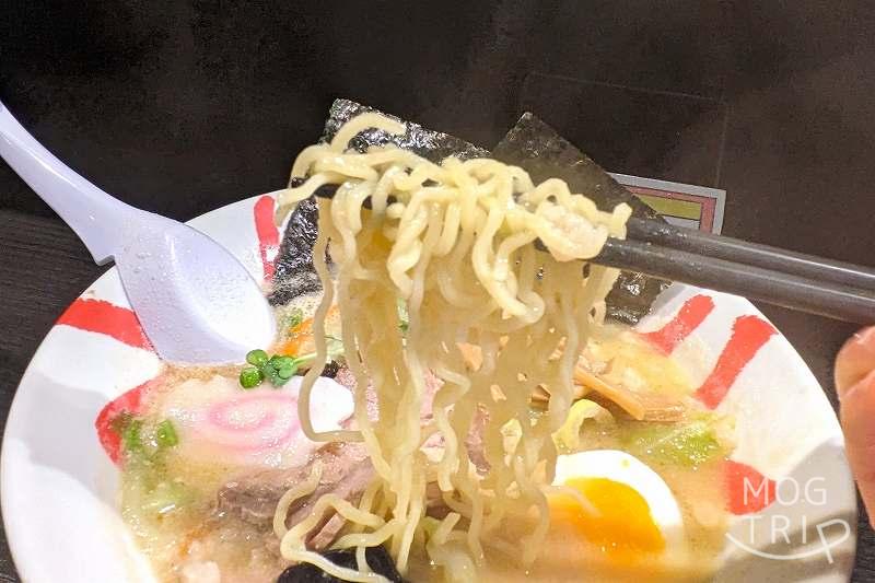 「函館麺厨房あじさいモユク札幌店」白味噌ラーメンの麺