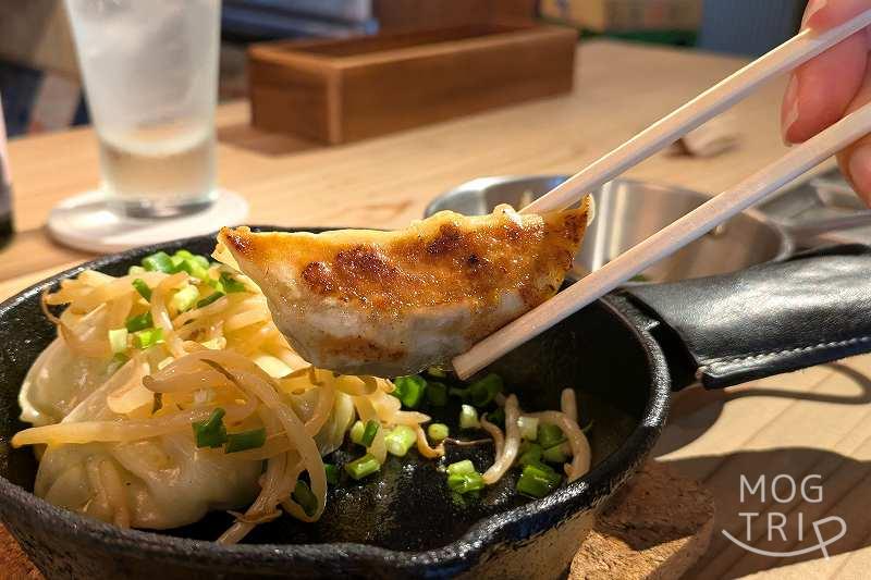 キタヤマヤの「スキレットギョーザ」
