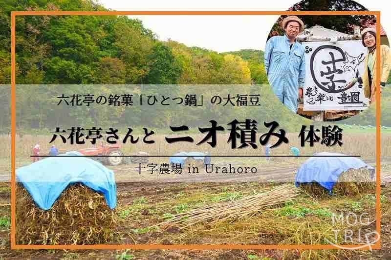 浦幌町「十字農場」で大福豆ニオ積み体験