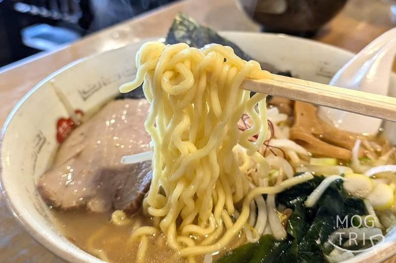 ラーメンねるらの
「魚介濃厚味噌ラーメン」