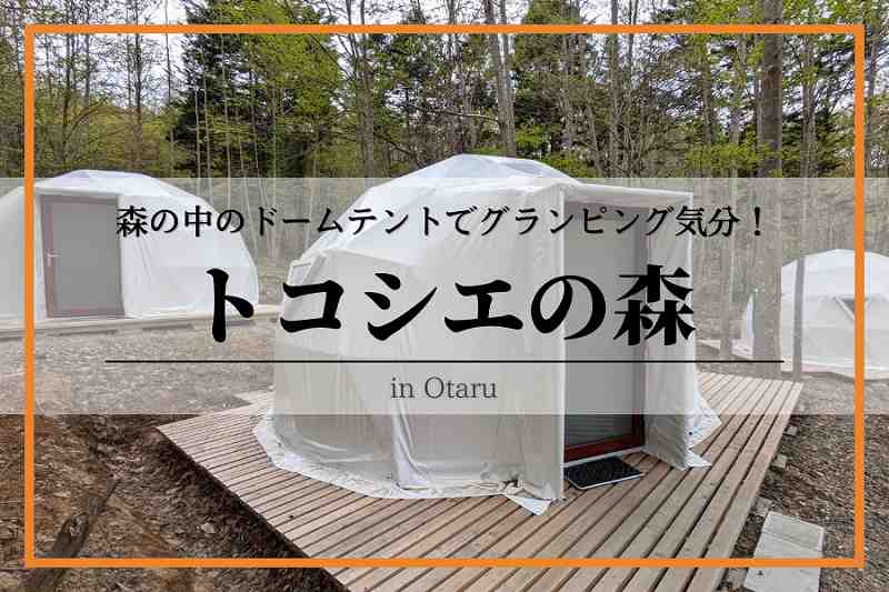 小樽「トコシエの森」森の中のドームテントカフェがおすすめ!ピッツアと珈琲でまったり