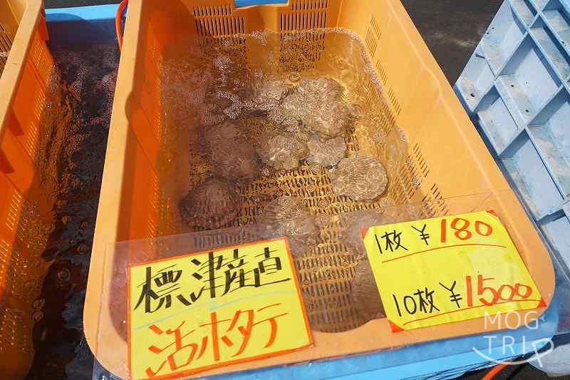 いしかり湾漁協朝市のホタテ