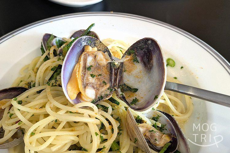 nora(ノラ)の「本日のパスタ」