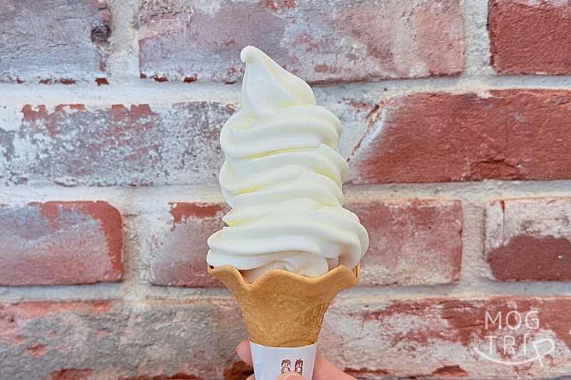 どんぐり本店の「ミルクソフトクリーム」