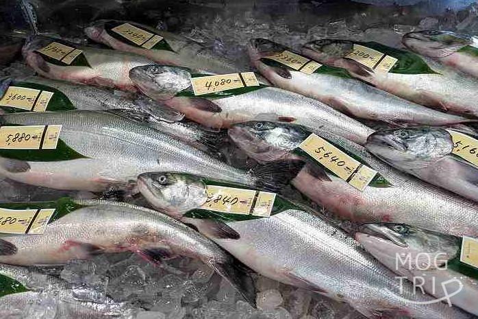 佐藤水産の「鮭」