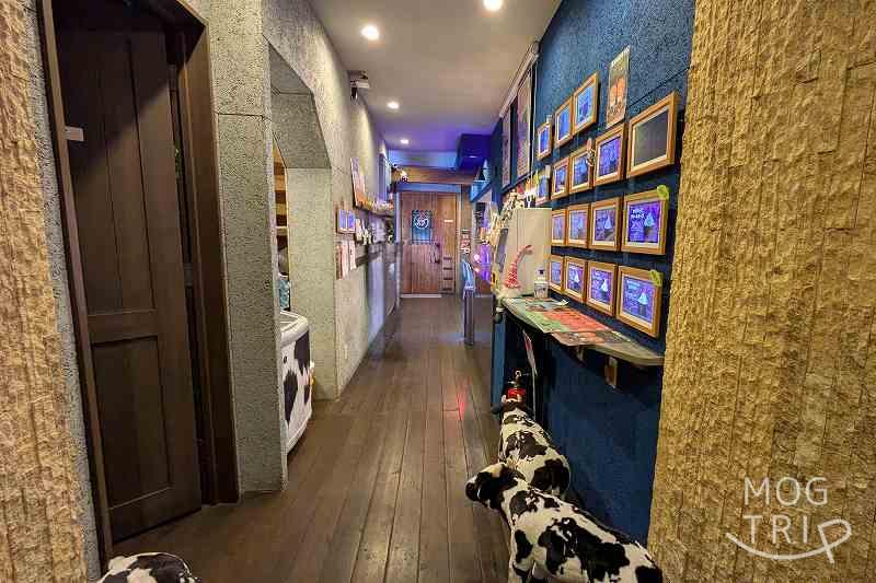 ジェラテリアサクラの「店内の様子」