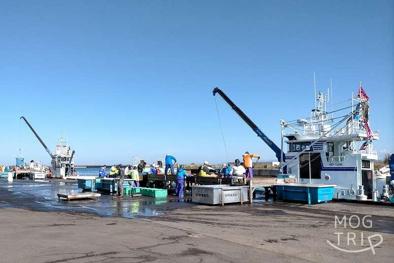 石狩、鮭の水揚げの様子