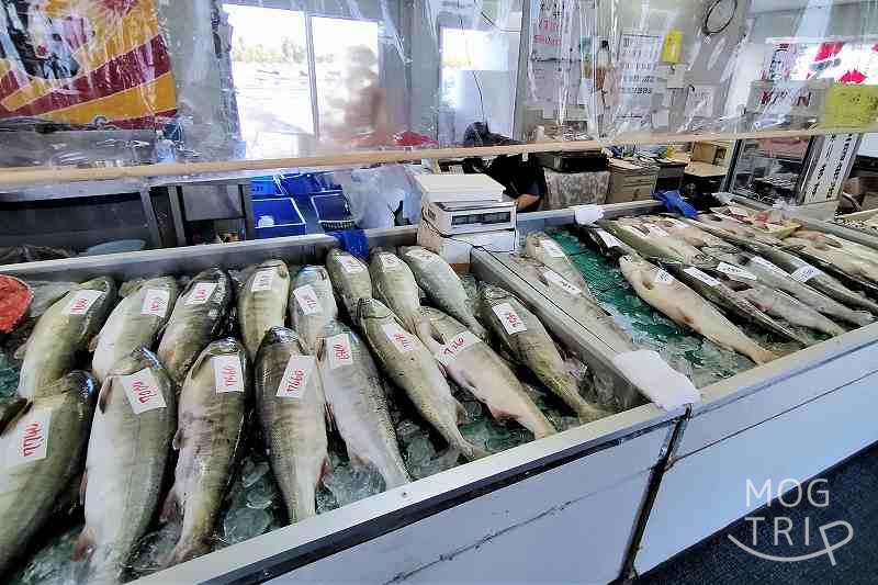 石狩鮭直売所の「店内の様子」