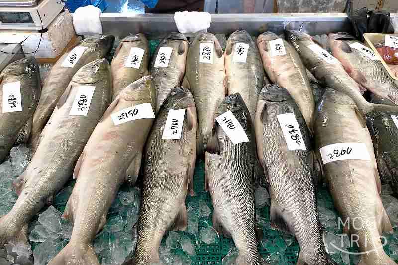 朝取れ鮭直売所の「鮭のオス」