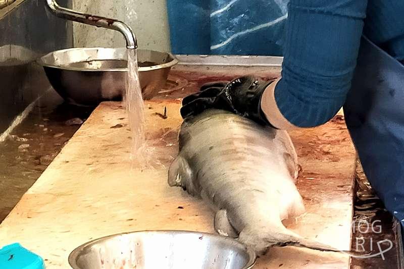 石狩とれたて鮭直売所「鮭を捌く様子」