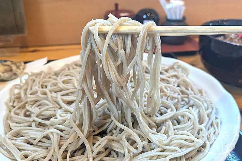 サラセン人の麦の「ごぼう天せいろ」